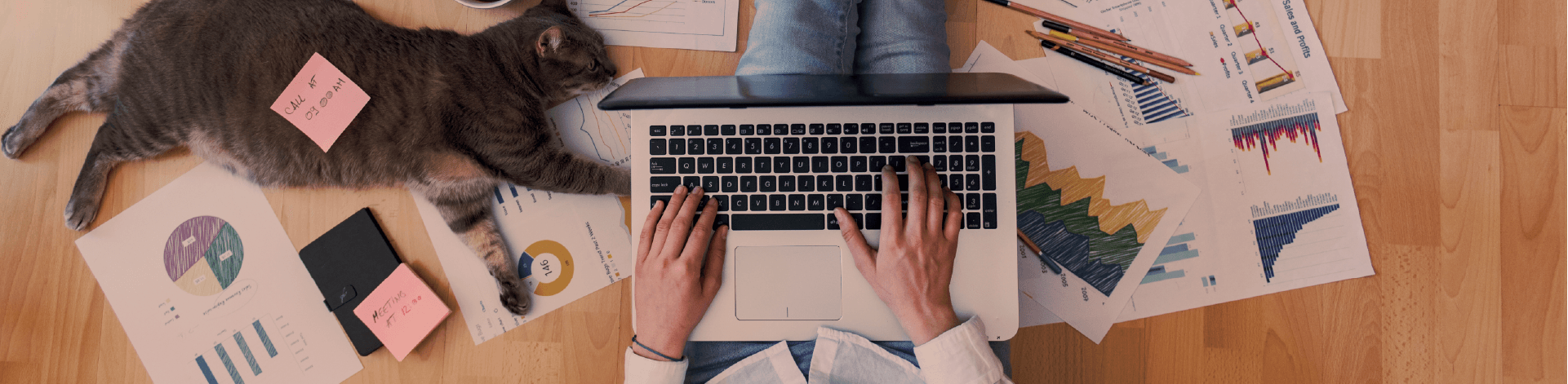 Why Connectivity and Connections Matter